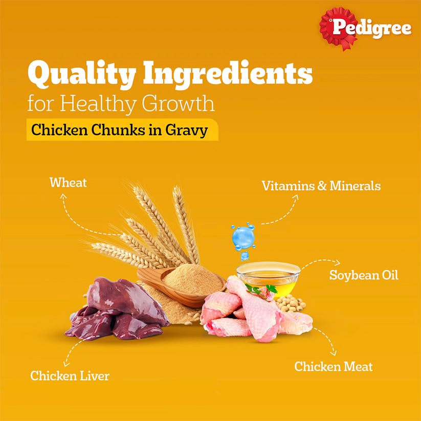 Pedigree Chicken and Liver Chunks in Gravy Adult Dog Wet Food