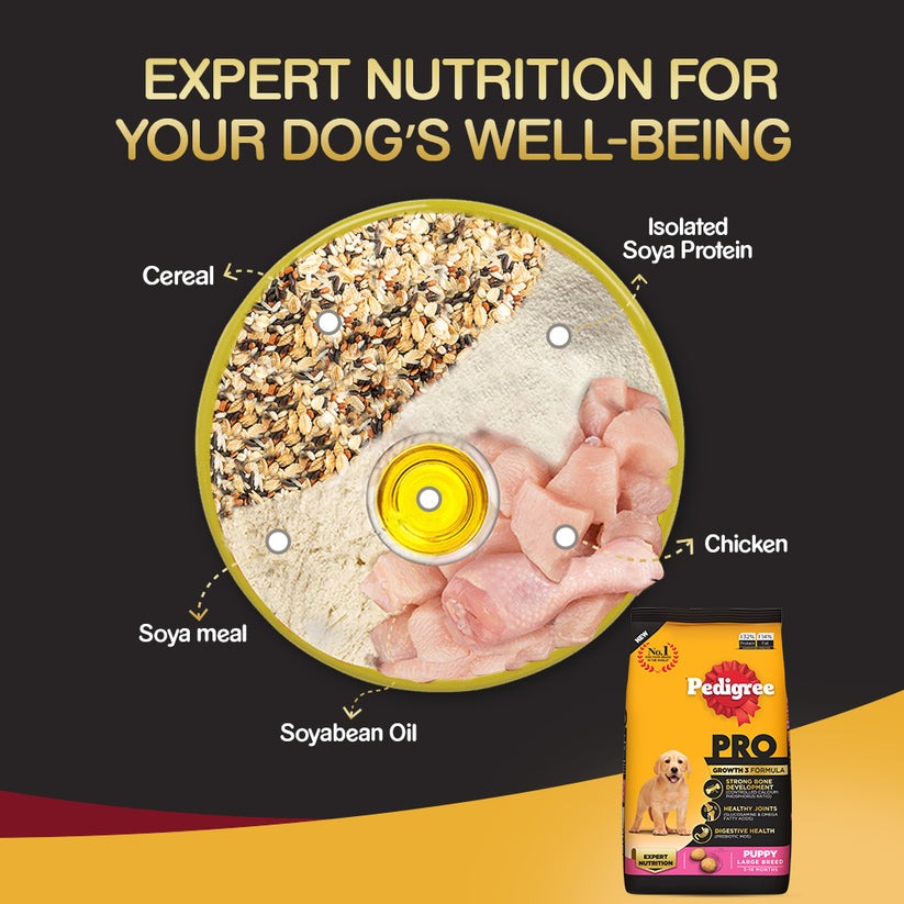 Pedigree PRO Expert Nutrition Dry Dog Food For Large Breed Puppy (3-18 Months)