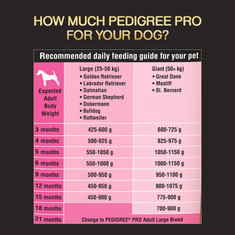 Pedigree PRO Expert Nutrition Dry Dog Food For Large Breed Puppy (3-18 Months)