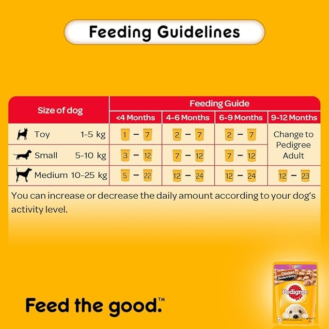 Pedigree Puppy Wet Dog Food, Chicken Chunks in Gravy