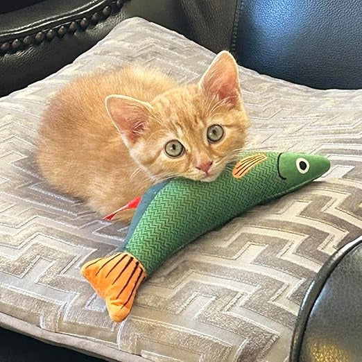 Plush Fish Toy for Cats