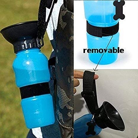 Portable Aqua Dog Water Bottle