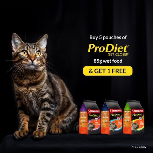 Prodiet Fresh Tuna Wet Food for Adult Cats (Pack of 5+1)