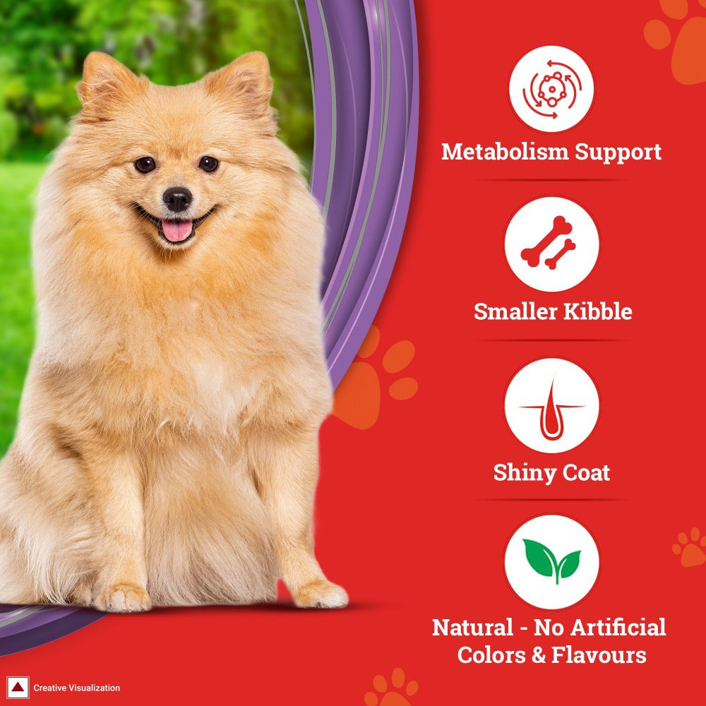 Purina Supercoat with Chicken Small Breed Adult Dry Dog Food