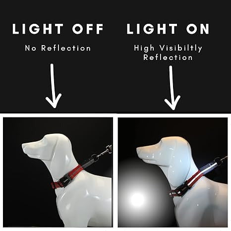 Glucklich Martingale Reflective Dog Collars