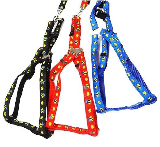 Ribbon Stitch Leash & Harness For Cat & Dog