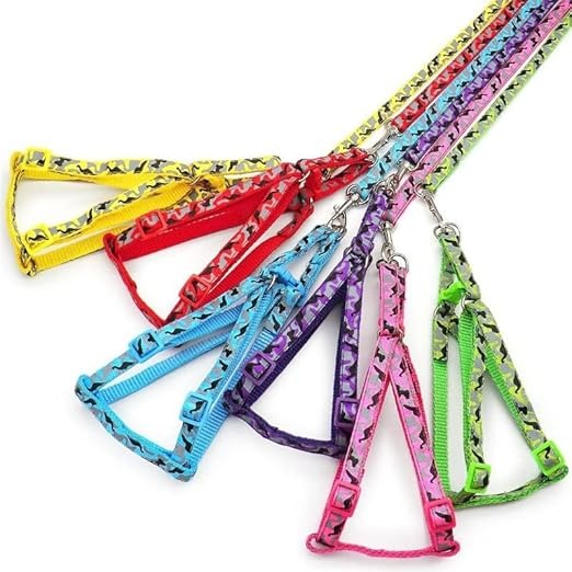 Ribbon Stitch Leash & Harness For Cat & Dog