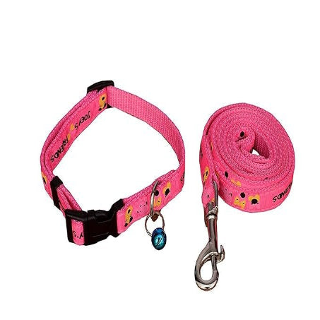 Ribbon Stitched Leash & Collar with Bell