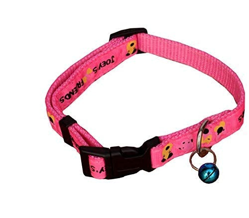 Ribbon Stitched Leash & Collar with Bell