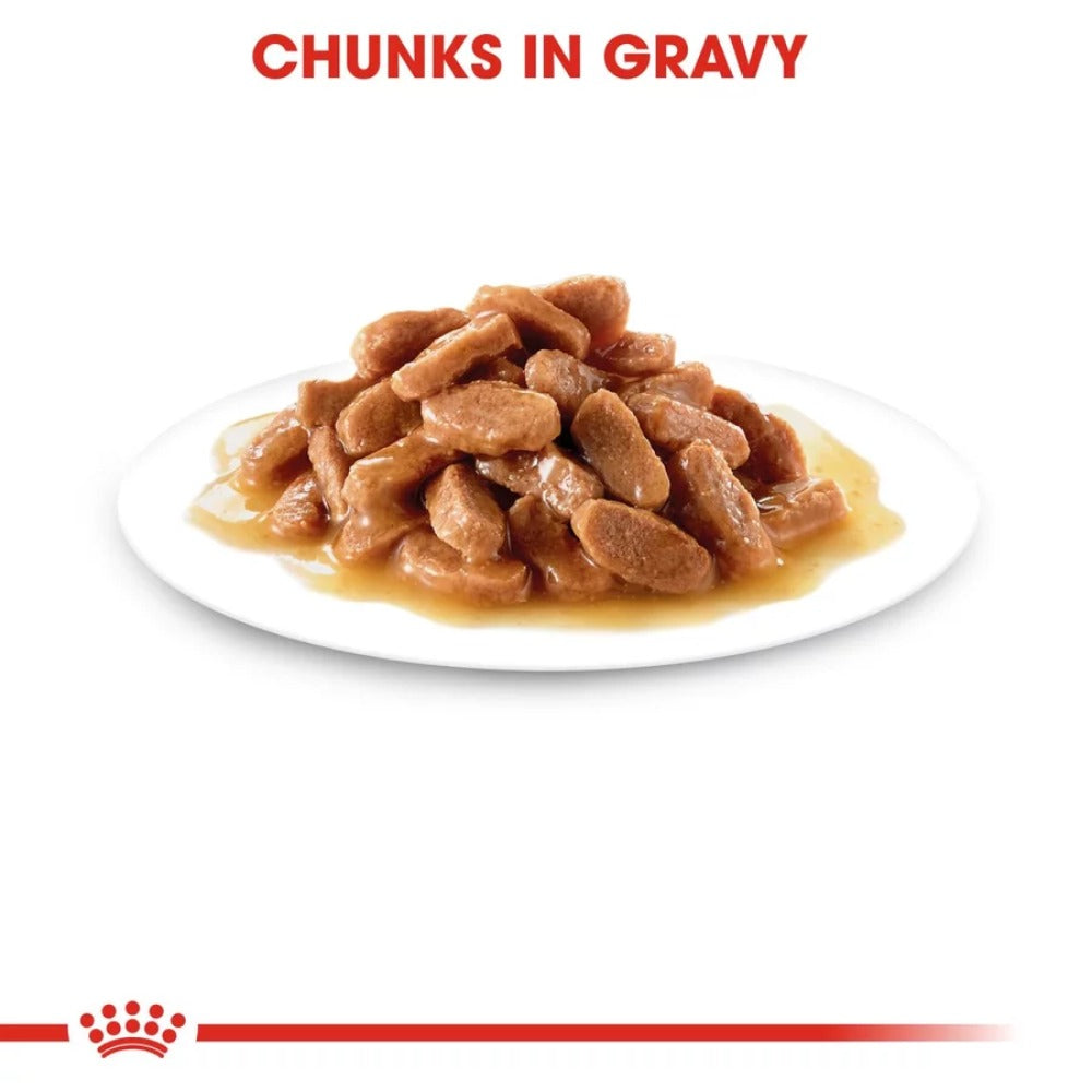 Royal Canin Kitten Gravy Cat Wet Food