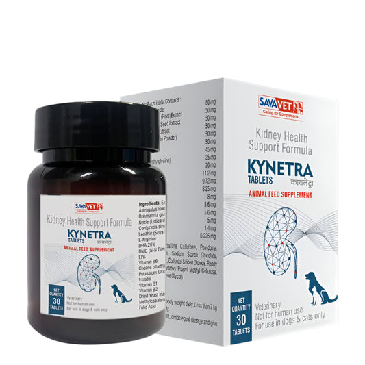 SavaVet Kynetra Renal Supplement Tablets