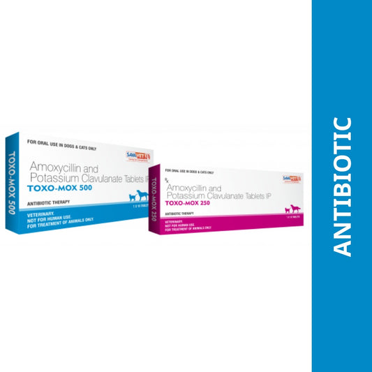 Savavet Toxo Mox (Amoxycillin) Tablets for Dogs & Cats