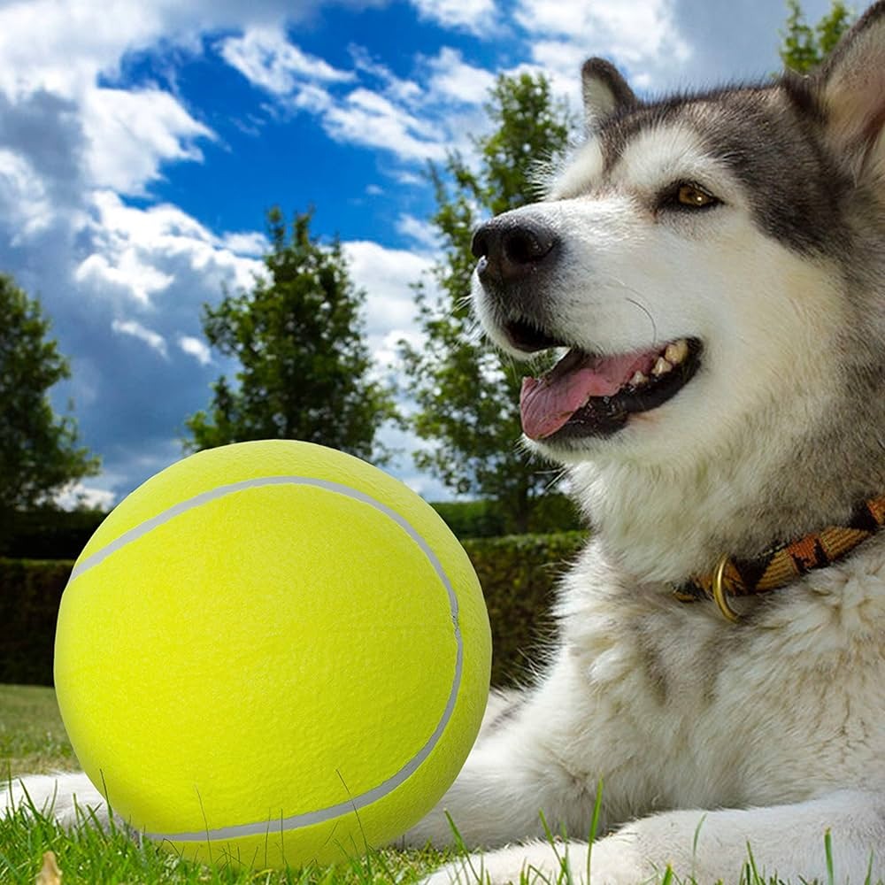 Tennis Ball Toy for Dogs Without Bell