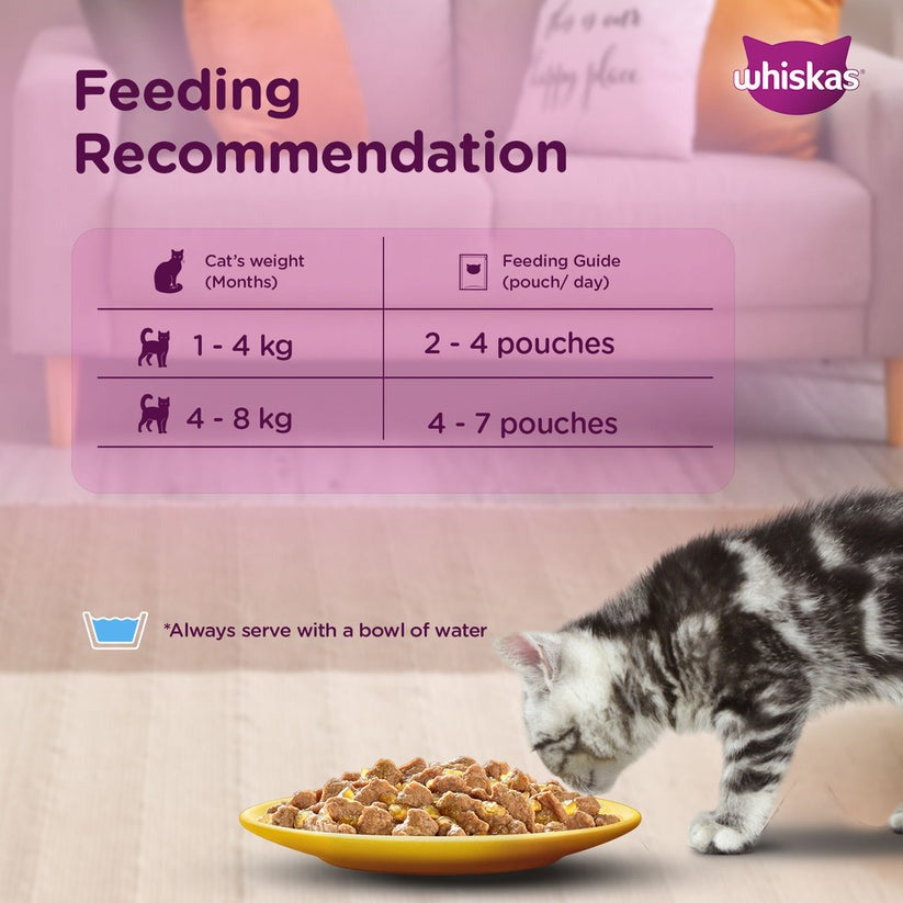 Whiskas Chicken With Salmon In Jelly Wet Food For Junior (2-12 Months) Kitten