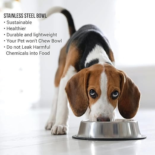 Anti Skid Stainless Steel Pet Bowl for Dogs, Cats, Rabbits