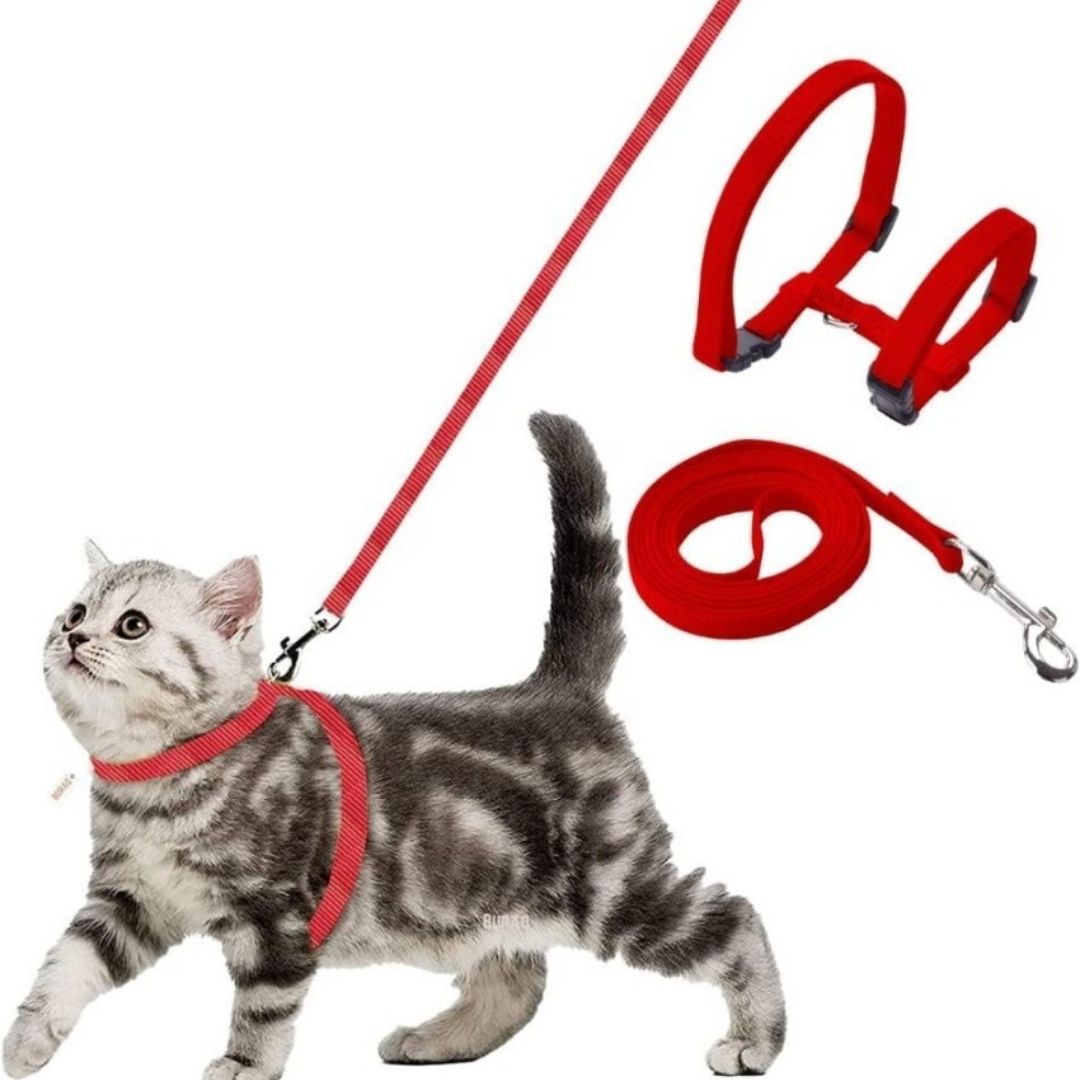 Smarty Pet Cat Harness & Leash Set, Plain Nylon (10mm)