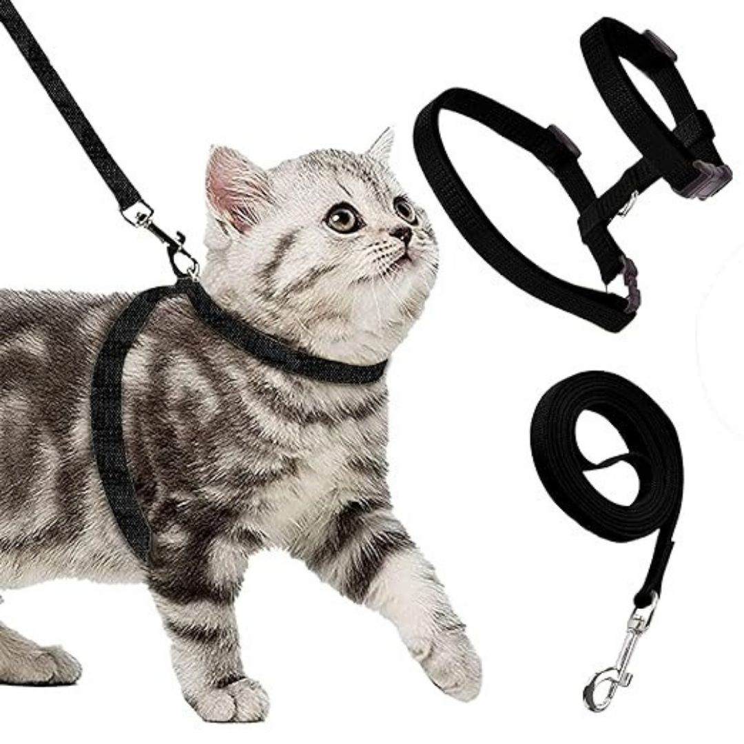 Smarty Pet Cat Harness & Leash Set, Plain Nylon (10mm)