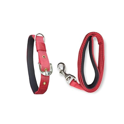 Dog Leash & Collar Set with Soft Cushion