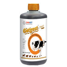 GUTGEST Premium Health Tonic and Appetite Booster