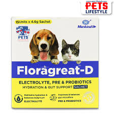Floragreat D Electrolyte, Pre&Probiotics Hydration&Gut Support Sachet