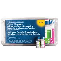 VANGUARD PLUS