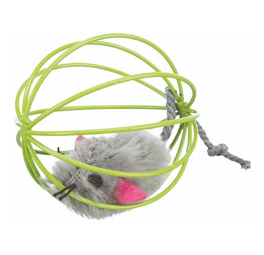 Mouse In a Wire Ball