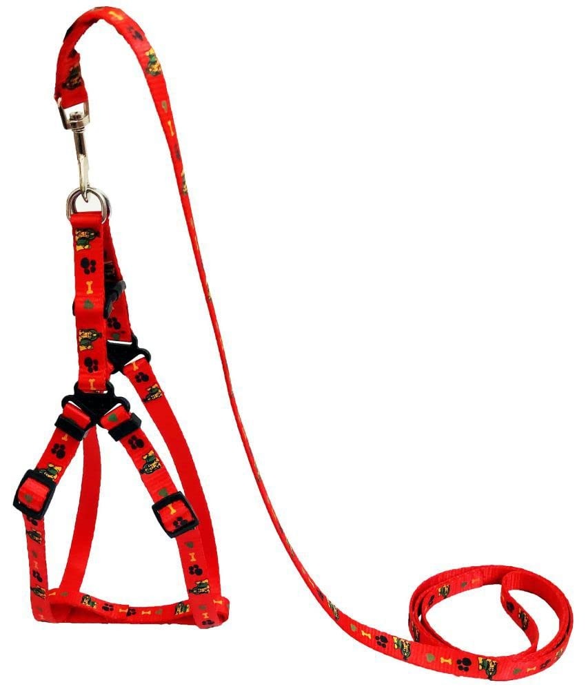 Leash & Harness - Soft Nylon Print