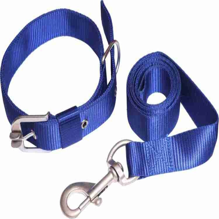 Basic Nylon Collar and Leash Set