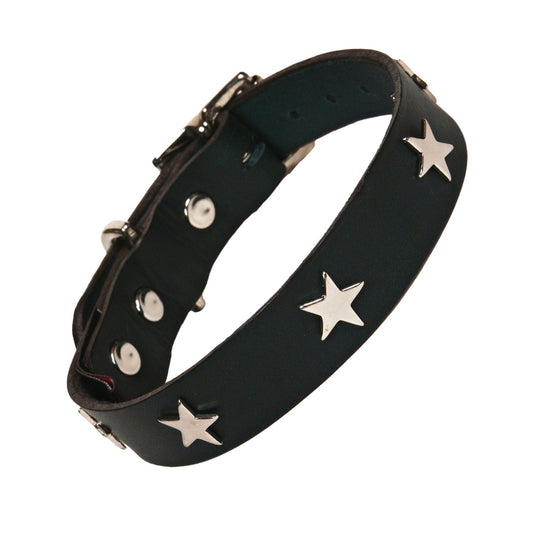 Leather Dog Collar - Star Tiger, for Medium & Large Dog Breeds