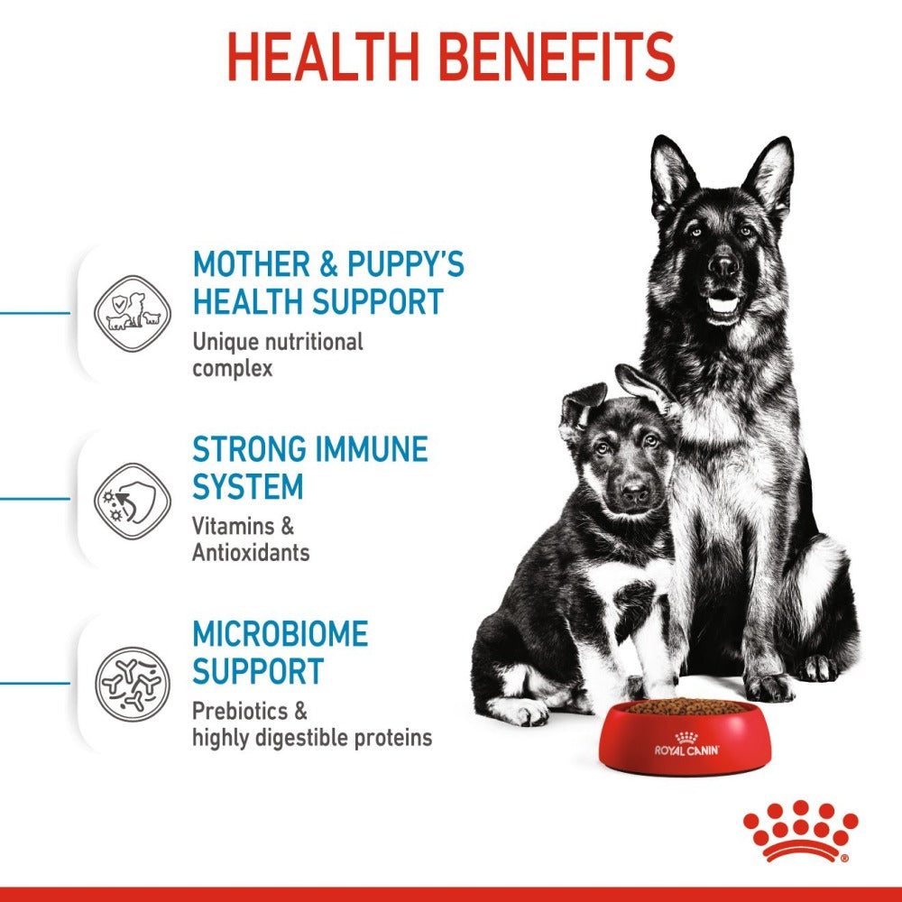 Royal Canin Maxi Starter Dry Dog Food (For Mother and Puppy)