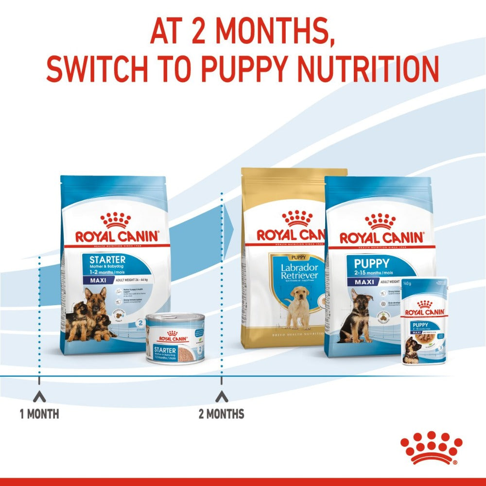 Royal Canin Maxi Starter Dry Dog Food (For Mother and Puppy)